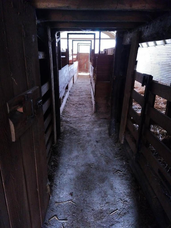 Terrain agricole - 12 330 m²