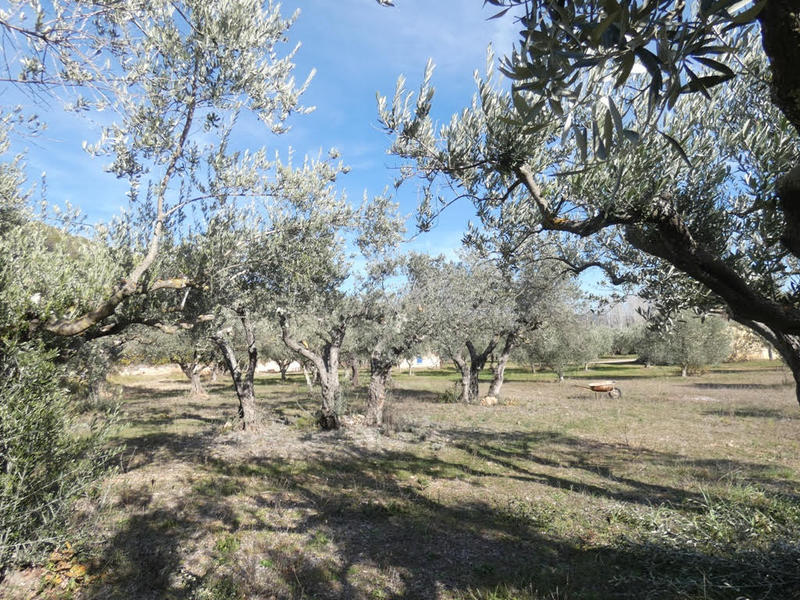 Maison - 33 m² - 2 pièces