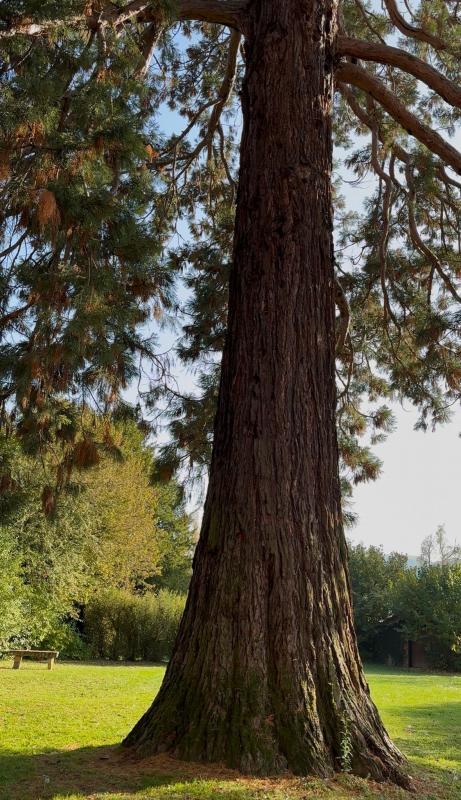 Maison - 347 m² - 8 pièces