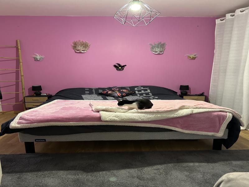 Maison - 83 m² - 4 pièces