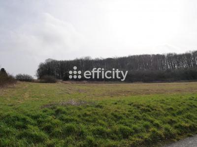 Terrain - 10 469 m²
