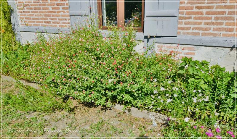 Maison - 184 m² - 7 pièces