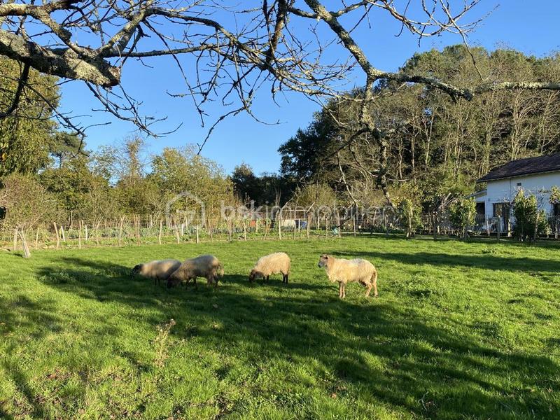 Ferme - 360 m² - 10 pièces