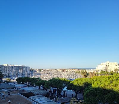 Appartement - 18 m² - 1 pièce