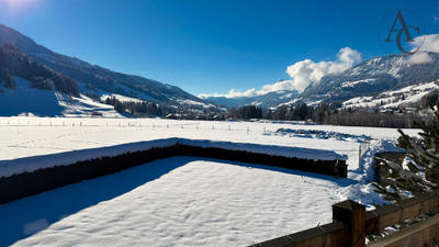 Châlet - 252 m² - 8 pièces