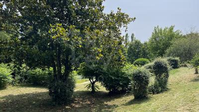 Propriété - 250 m² - 10 pièces