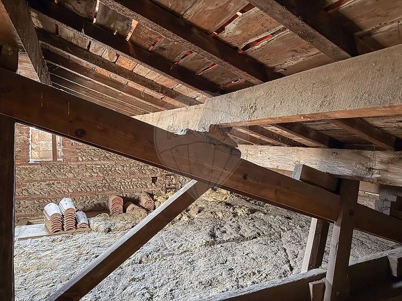 Appartement - 55 m² - 2 pièces