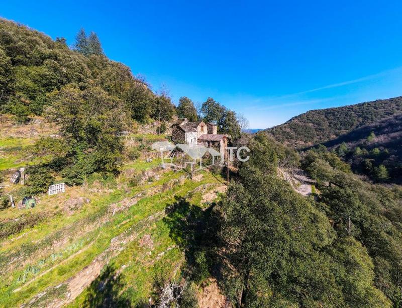 Mas - 78 m² - 7 pièces