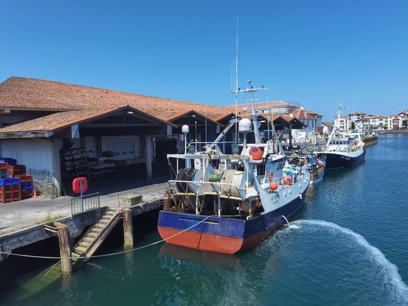 Visite Pays d’art et d’histoire : "Autour du port: paroles de femmes"