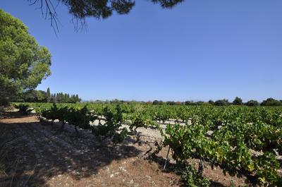 Propriété - 267 m² - 10 pièces