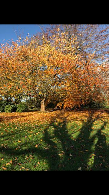 Manoir - 400 m² - 12 pièces