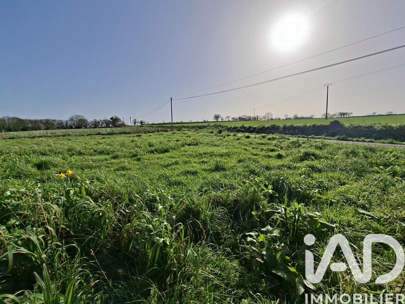 Maison de campagne - 70 m² - 4 pièces