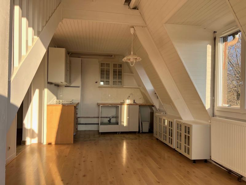 Duplex - 46 m² - 3 pièces