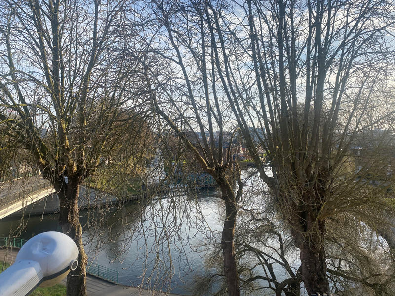 Appartement - 18 m² - 1 pièce