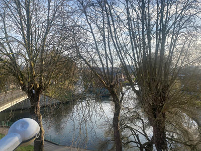 Appartement - 18 m² - 1 pièce