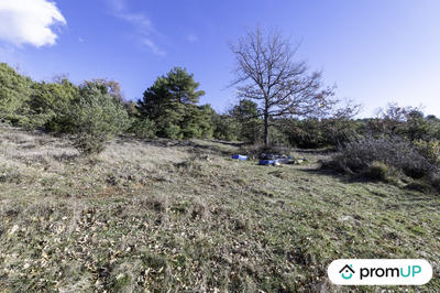 Terrain de loisirs - 28 250 m²