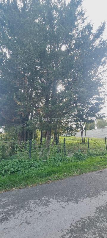 Terrain constructible - 995 m²