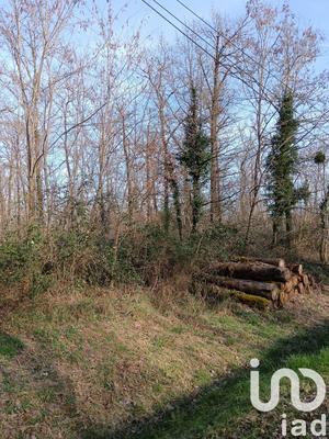 Terrain - 24 045 m²