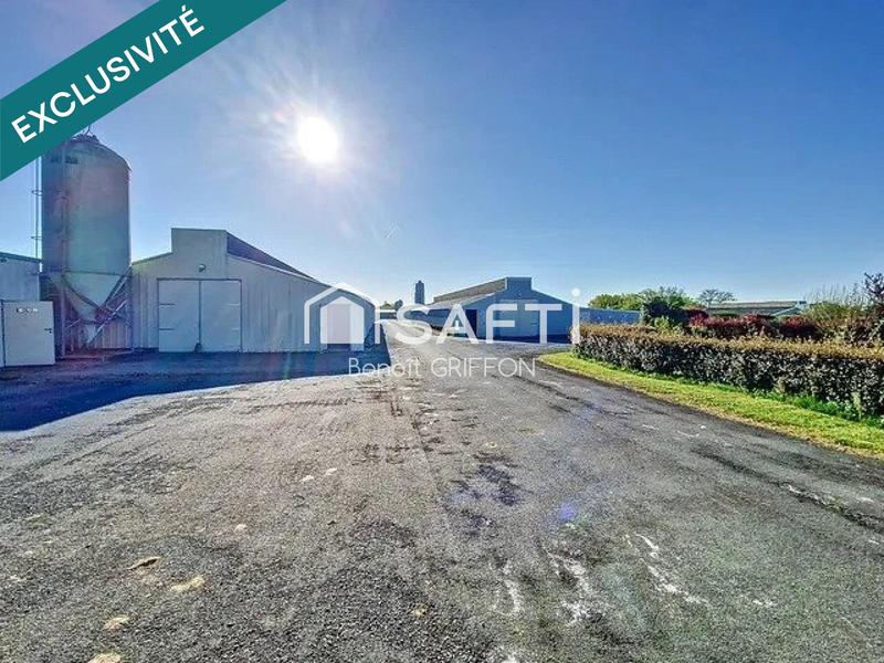 Local commercial - 4 290 m² - 9 pièces