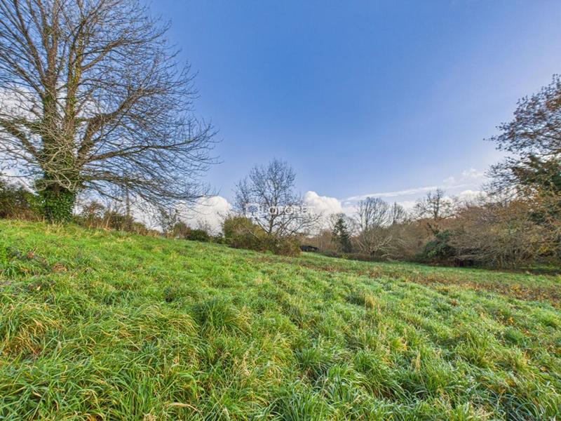 Terrain constructible - 2 132 m²