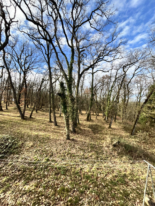 Maison - 210 m² - 6 pièces