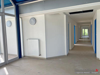 Bureau - 300 m² - 4 pièces