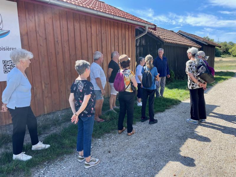 Visite Guidée du Lapin Blanc
