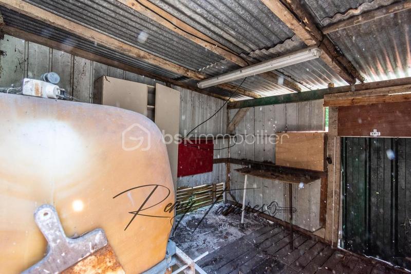 Maison en pierre - 75 m² - 4 pièces