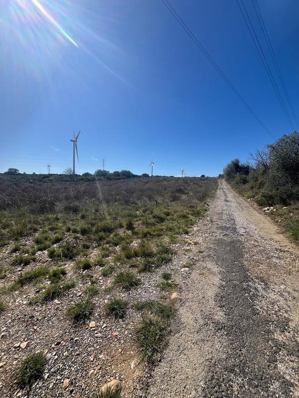 Terrain agricole - 9 900 m²