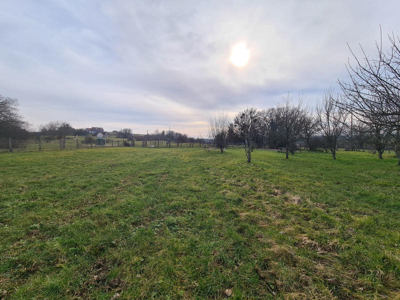 Maison - 270 m² - 1 pièce