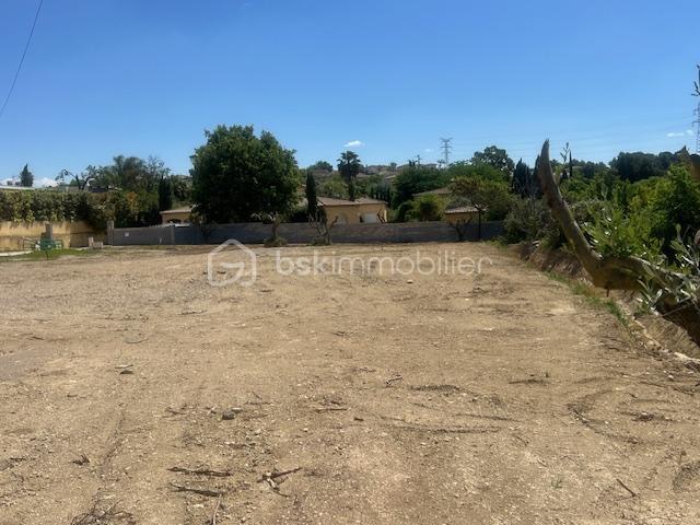 Terrain - 439 m²