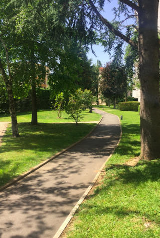 Studio - 15 m² - 1 pièce