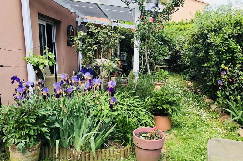 Maison jumelée - 75 m² - 3 pièces