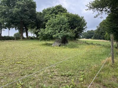 Maison - 101 m² - 5 pièces