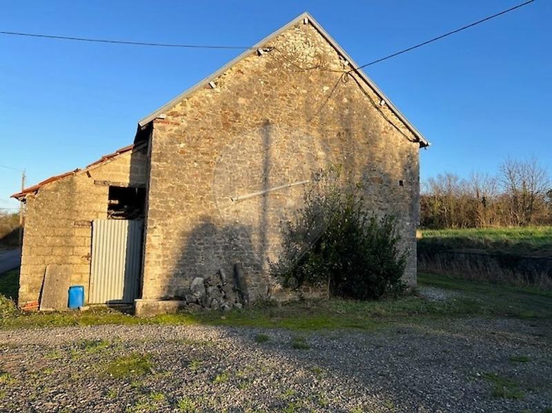 Cave / Box - 230 m²