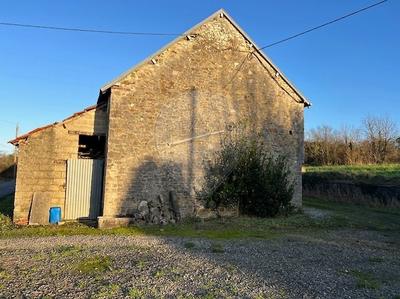 Cave / Box - 230 m²