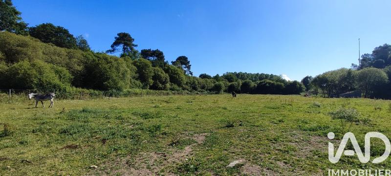 Maison - 131 m² - 5 pièces