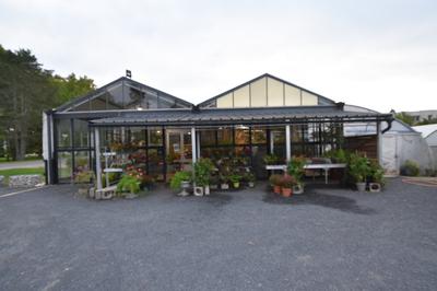 Fonds de commerce - Magasins - 220 m²