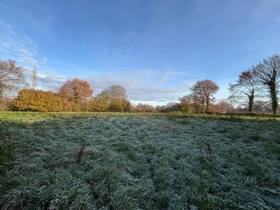 Maison - 300 m² - 5 pièces