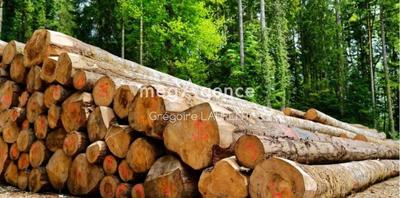 Terrain agricole - 70 060 m²