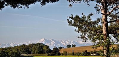 Propriété - 292 m² - 8 pièces