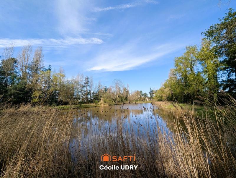 Terrain - 11 472 m²