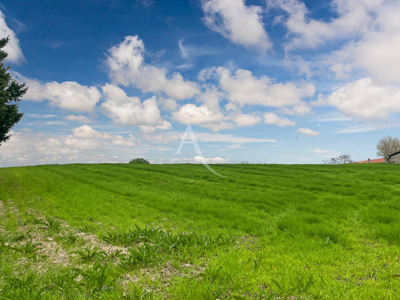 Terrain - 11 886 m²