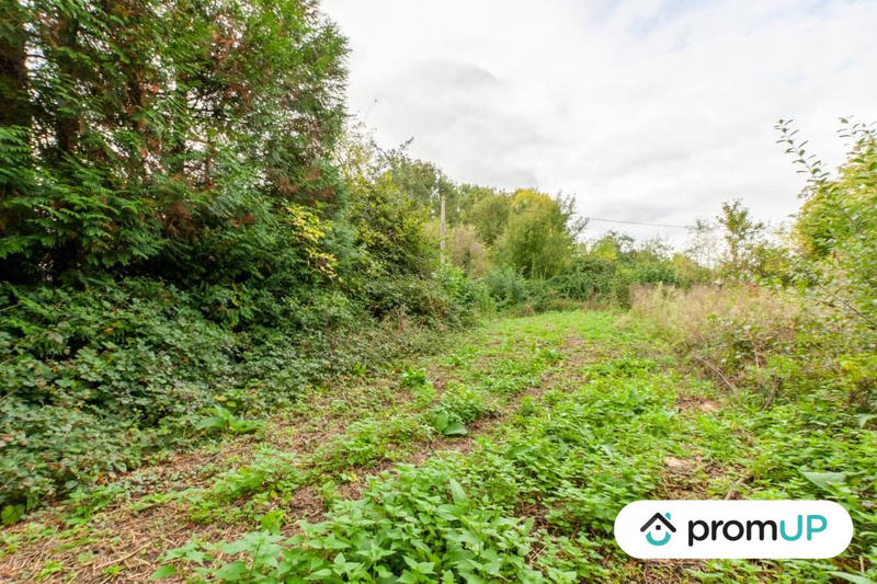 Terrain de loisirs - 1 600 m²