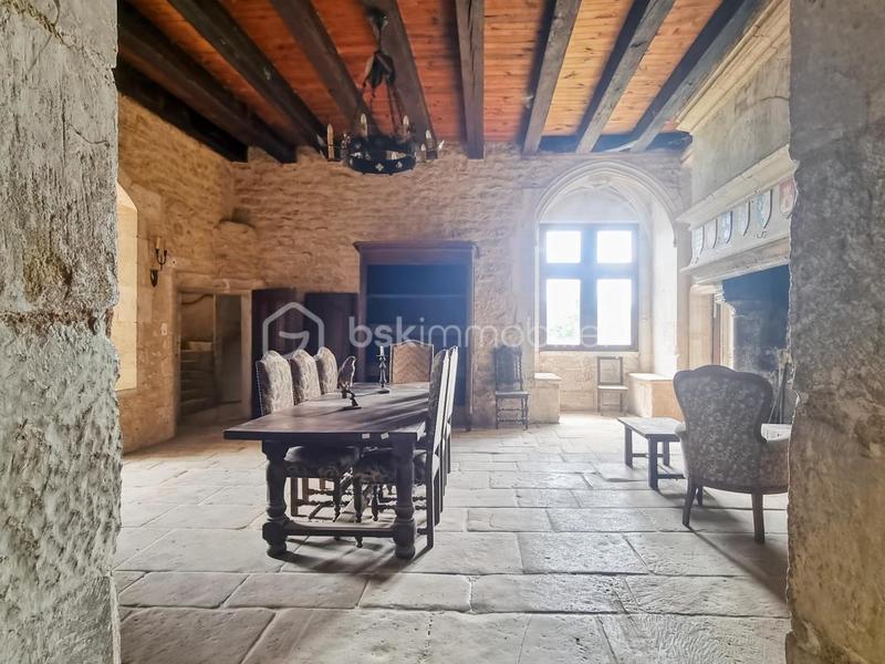 Château - 500 m² - 10 pièces