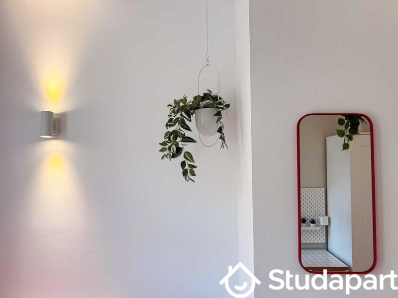 Appartement - 85 m² - 1 pièce