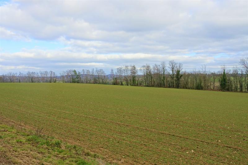 Terrain - 42 203 m²