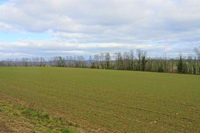 Terrain - 42 203 m²
