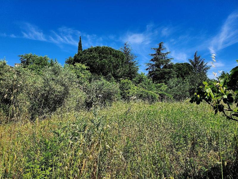 Terrain constructible - 1 490 m²