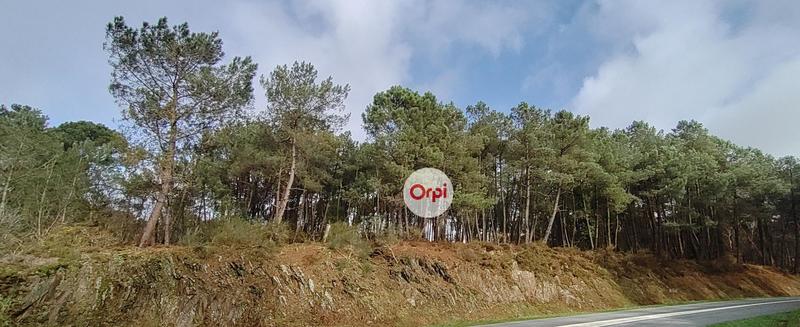 Terrain de loisirs - 49 615 m²